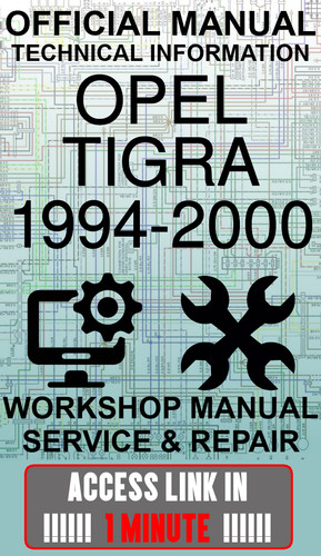 Access link manuale officina - access,