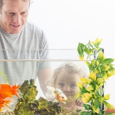  4 Pcs Accessori Per Rettili