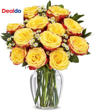 - Una Dozzina di Rose Festive