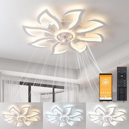 Ventilatore soffitto con - ventilatore,