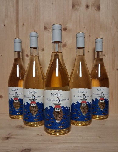 Bottiglie vino bianco - vino,