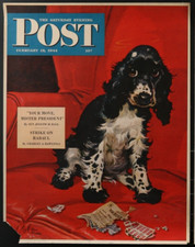 IL SABATO SERA RIVISTA POSTALE