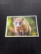 Noi Animali L’unione Fa La