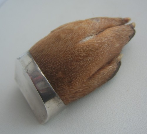 Antica spilla zampa lontra - antica,