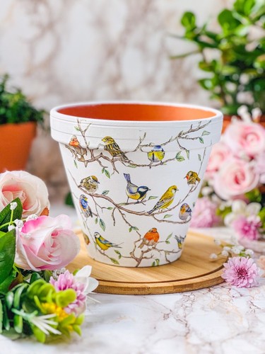 Vaso fiori per - vaso, uccellini