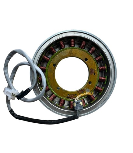 E40005489 statore magnete - statore,