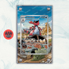 Pokémon Teca Magnetica