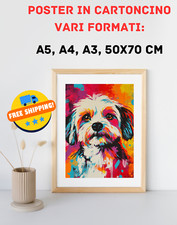 Stampa Cane Maltese - Varie