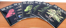 Bonsai & News - Anno 2 - Nr