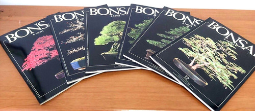 Bonsai news anno 2 - news,