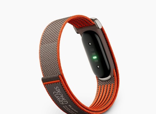 Google fitbit air - google,