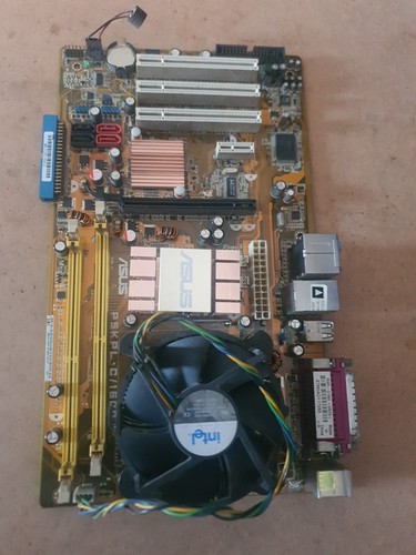 Scheda madre asus - madre, p5kpl-c1600