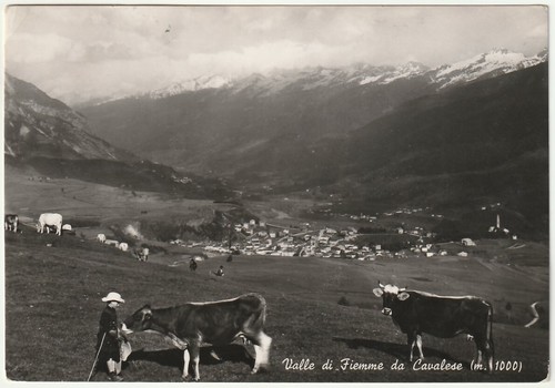 Valle fiemme cavalese - valle,
