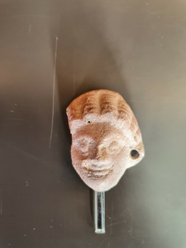 Testa terracotta epoca - testa,, terracotta,