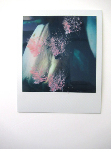Araki polaroid originale - polaroid,
