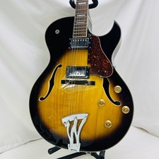 WASHBURN J-3 J3TSK Hollowbody