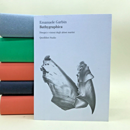 Bathygraphica emanuele - bathygraphica,