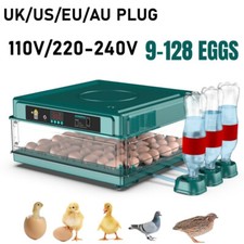 Incubatrice automatica per