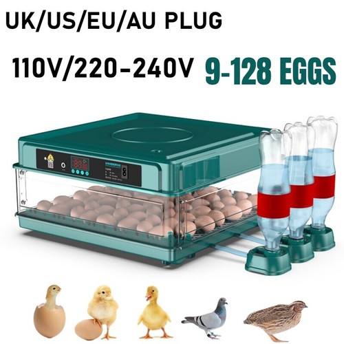 220v 110v automatic egg - 220v/110v,