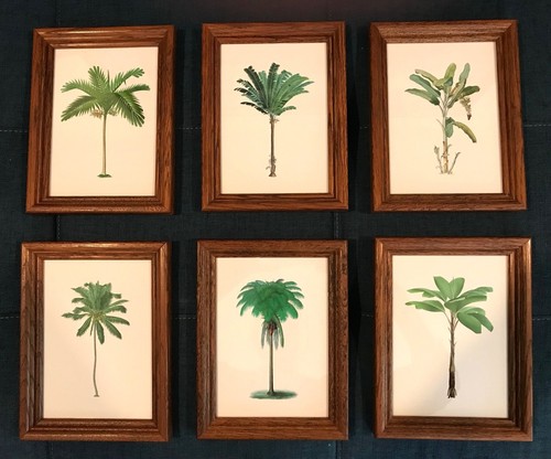 Stampe palme arte - , parete