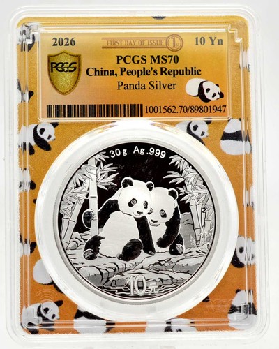 Yuan argento cina - yuan,