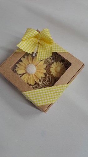 Confezione con margherita - confezione, e