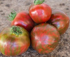 Pomodoro Sailor's Luck -