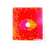 Filtro punto centrale COKIN