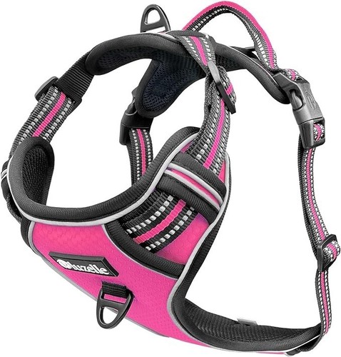 Pettorina cane imbragatura - cane,