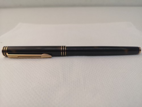 Penna stilografica waterman - stilografica,
