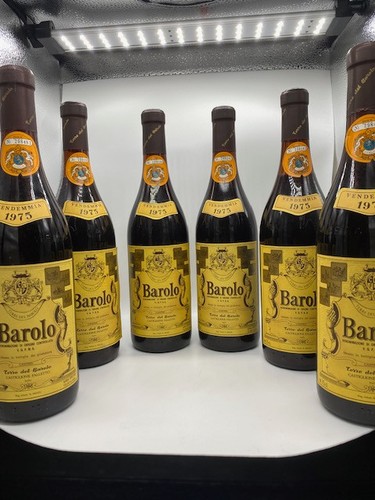 Vino barolo - vino,