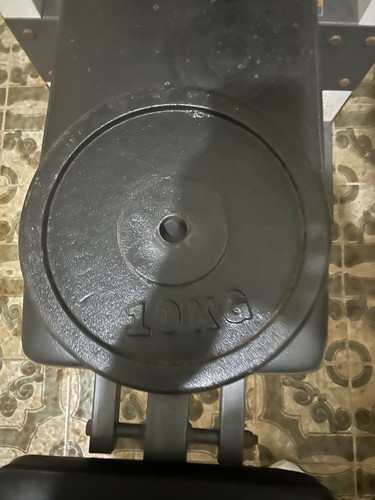 Dischi palestra ghisa - dischi,
