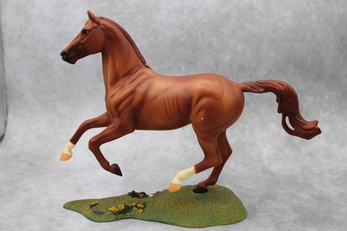 Stallone cavallo modello