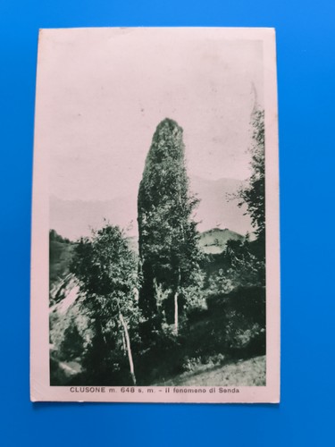 Clusone 648 fenomeno di - clusone,