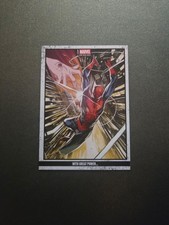Panini Marvel Anthology -
