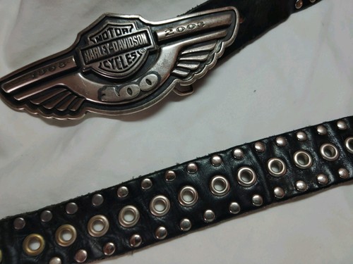 Cintura fibbia harley - cintura,