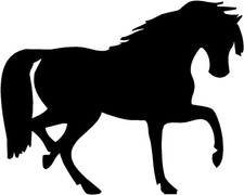 CAVALLO 12x9 Cm, Adesivo In