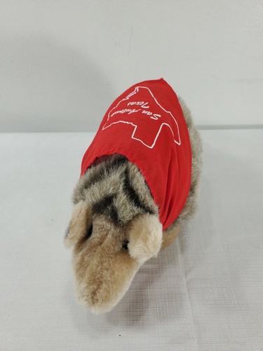 Peluche armadillo in un - 12",