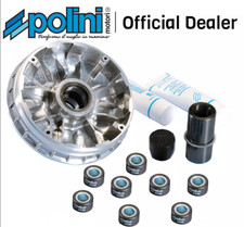 241 649 variatore polini - 241.649,