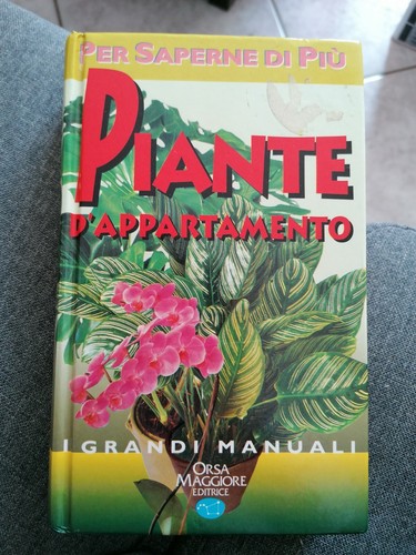 Piante appartamento i - d'appartamento,