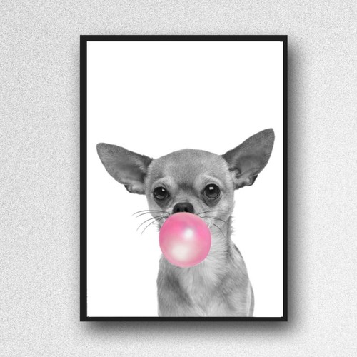 Chihuahua stampa cane foto - stampa,