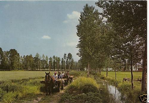 Cartolina epoca paesaggio - cartolina,