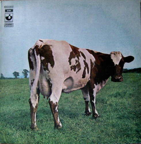 Pink floyd atom heart - pink,