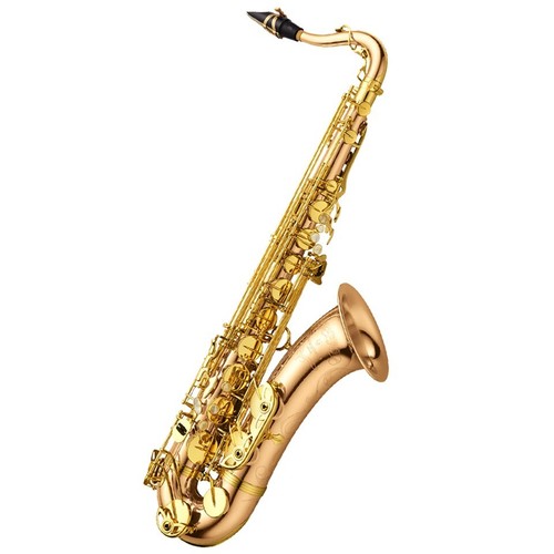 Yanagisawa wo20 bronzo - yanagisawa,