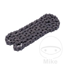 BorgWarner Endless Cam Chain