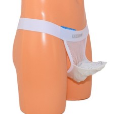 Perizoma proboscide Perizoma