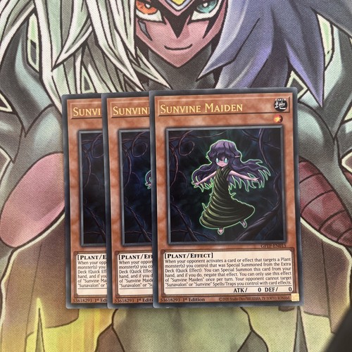 Gftp en015 sunvine maiden - x3,
