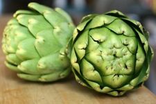 Globo verde carciofo - 5+ semi - cereali - prelibatezza resistente all'inverno! - K 010