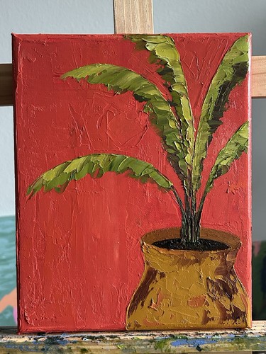 Pianta tropicale originale - pianta,