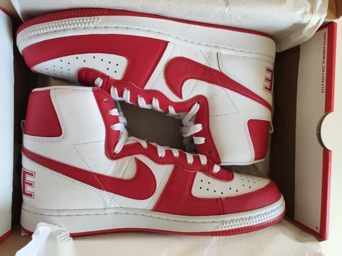 Nike terminator high
